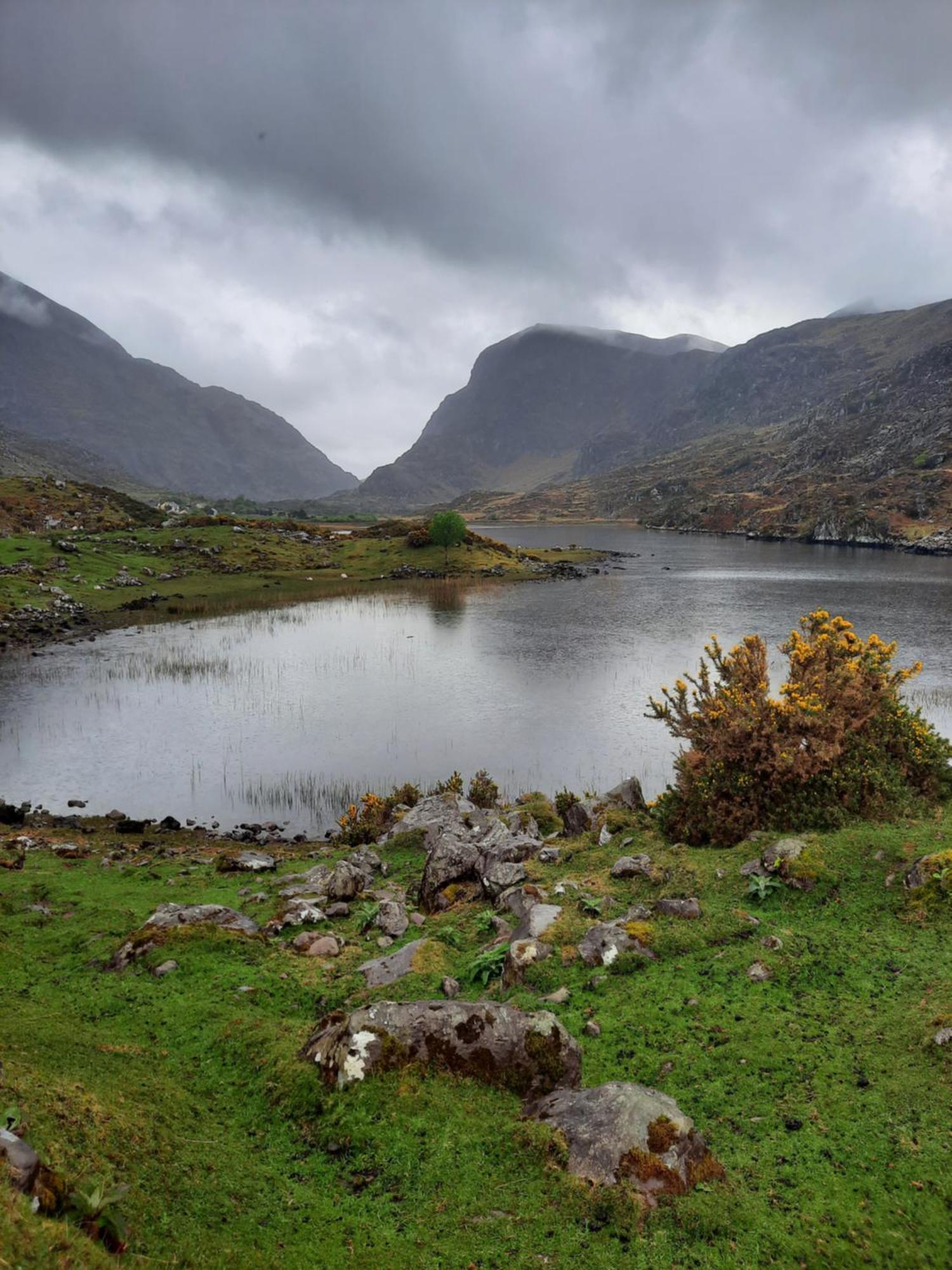 Colleen Bawn Cottage Gap Of Dunloe Kerry Laune Bridge エクステリア 写真