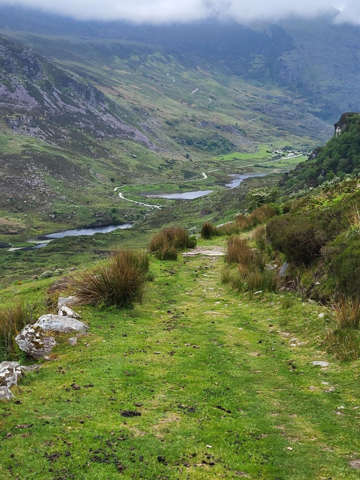 Colleen Bawn Cottage Gap Of Dunloe Kerry Laune Bridge エクステリア 写真